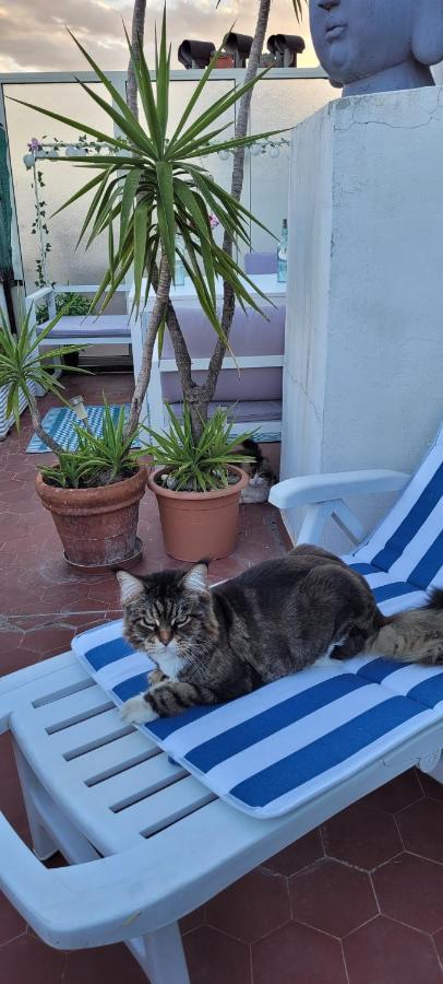 + Terrasse Privative Privatunterkunft